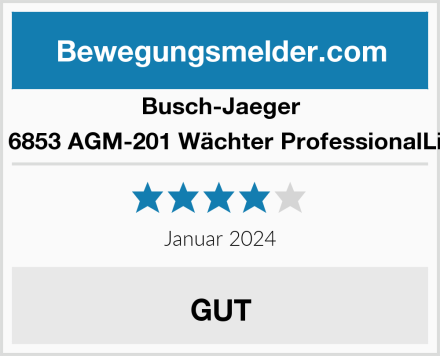 Busch-Jaeger BJ 6853 AGM-201 Wächter ProfessionalLine Test